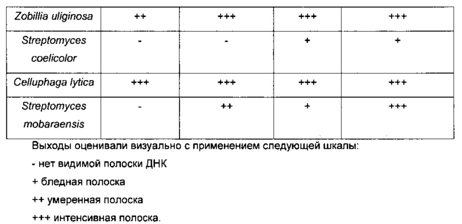 Полипептиды с лизоцимной активностью и полинуклеотиды, кодирующие их (патент 2619051)
