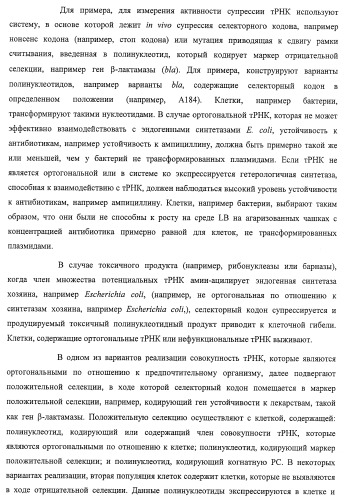 Система экспрессии компонентов ортогональной трансляции в эубактериальной клетке-хозяине (патент 2467069)
