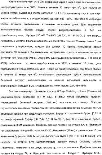 Фармацевтический препарат и способ лечения злокачественных опухолей у человека с помощью аргининовой депривации (патент 2335539)