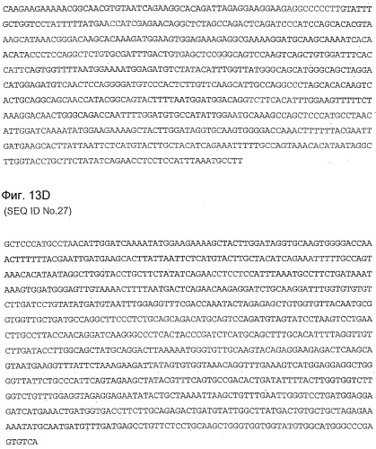 Применение s1p (патент 2362565)