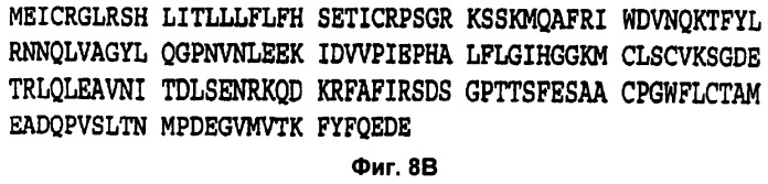 Слитые конструкции лекарственного средства и конъюгаты (патент 2428431)