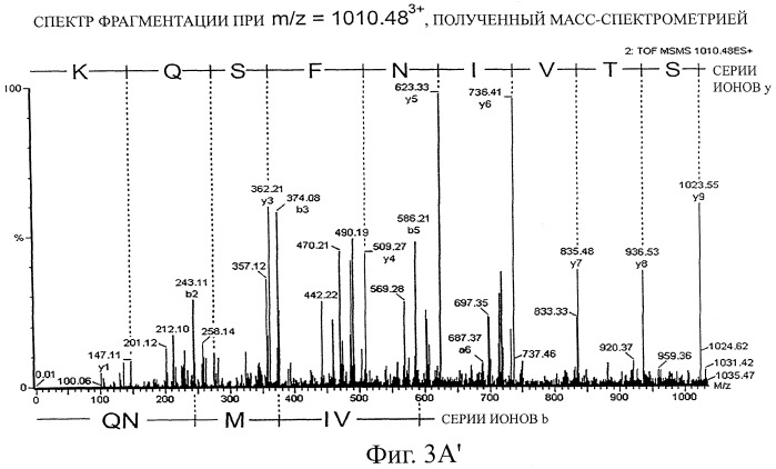 Лекарственное средство от отравлений (патент 2465893)