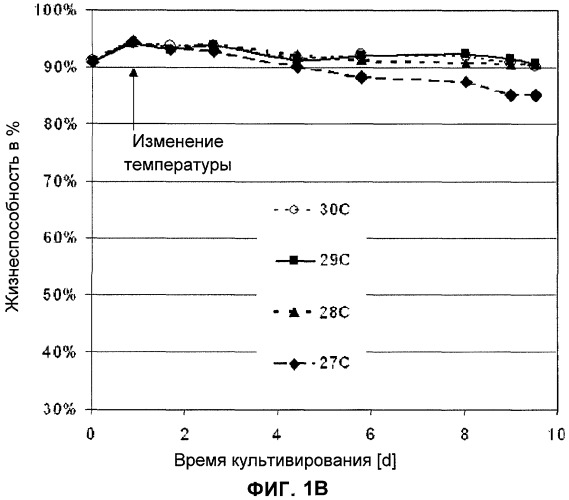 Применение низкой температуры и/или низкого pн в культуре клеток (патент 2478702)