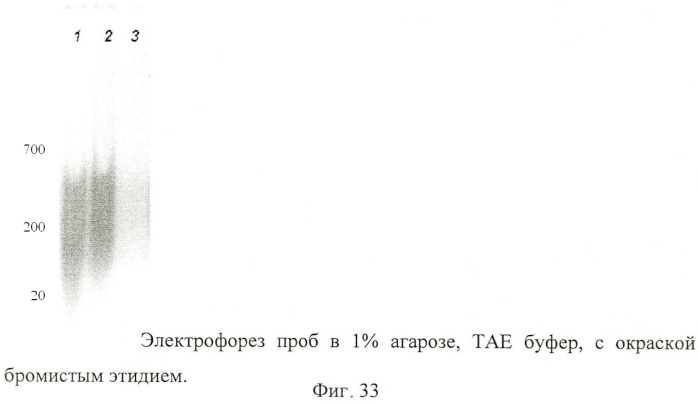 Способ иммобилизации биологически активного вещества (бав) на носитель (варианты) и конъюгат бав-носитель, полученный данными способами (патент 2409669)