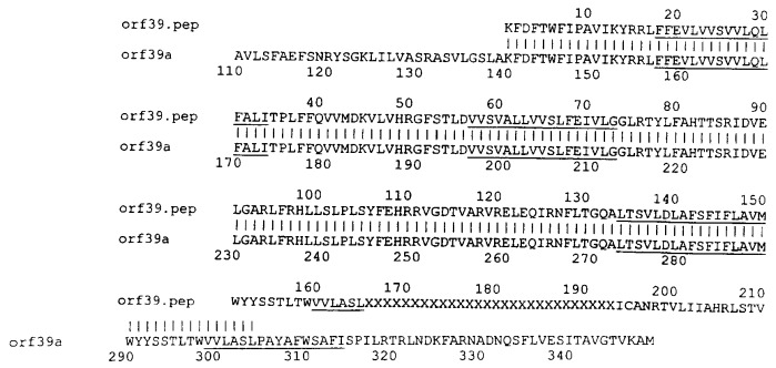 Антигены neisseria meningitidis (патент 2343159)