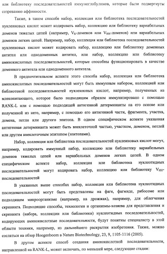 Аминокислотные последовательности, направленные на rank-l, и полипептиды, включающие их, для лечения заболеваний и нарушений костей (патент 2481355)