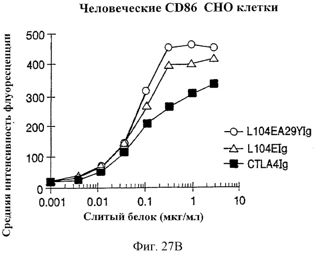 Способы лечения ревматических заболеваний с применением растворимого ctla4 (патент 2287340)