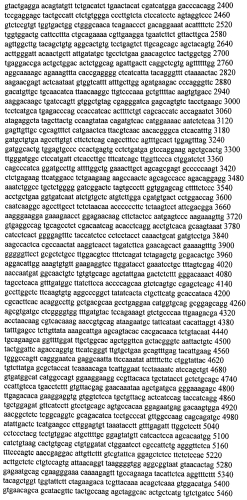 Модуляция экспрессии гентингтина (патент 2562861)
