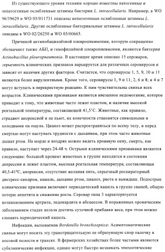 Иммуногенные композиции, содержащие lawsonia intracellularis (патент 2443430)