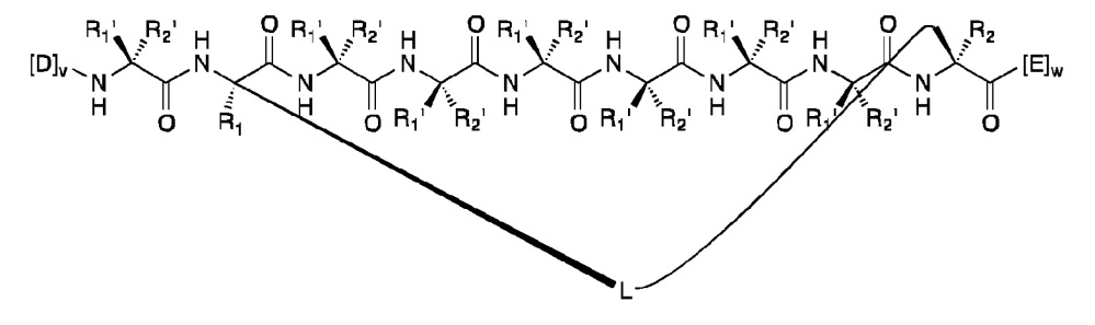 P53 пептидомиметические макроциклы (патент 2642299)