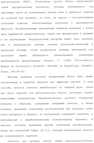 Антитела, сконструированные на основе цистеинов, и их конъюгаты (патент 2412947)