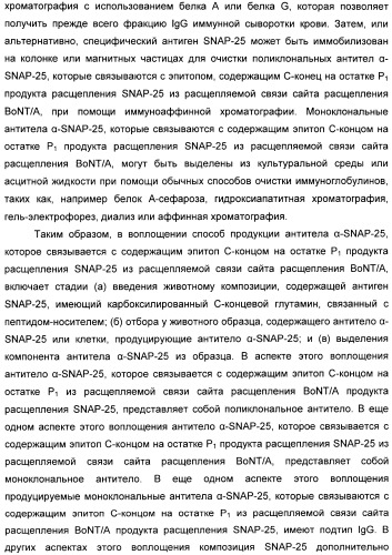 Иммунологические анализы активности ботулинического токсина серотипа а (патент 2491293)