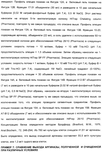 Фармацевтический препарат и способ лечения злокачественных опухолей у человека с помощью аргининовой депривации (патент 2335539)