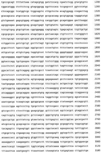 Плазмида без устойчивости к антибиотику (патент 2548809)