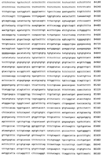 Применение s1p (патент 2362565)