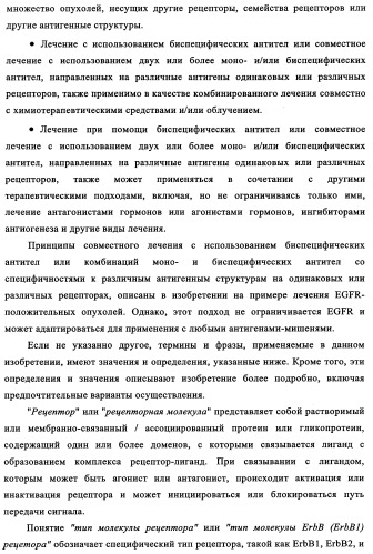Биспецифические антитела к erb-b и их применение для лечения опухолей (патент 2349340)