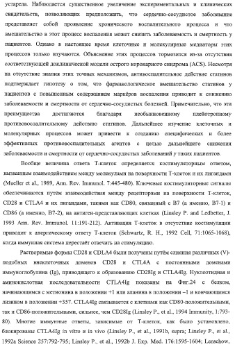 Способ лечения сердечно-сосудистого заболевания с применением растворимого ctla4 (патент 2353384)