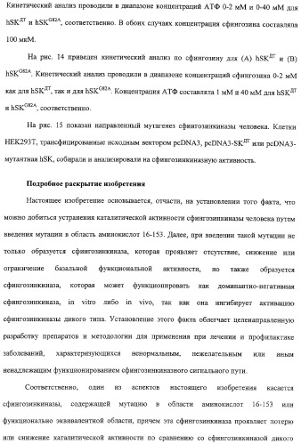 Сфингозинкиназа (варианты), нуклеиновая кислота, ее кодирующая (варианты), и их применение (патент 2326945)