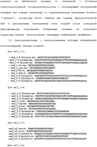 Ее3-семейство белков и соответствующие днк-последовательности (патент 2333918)