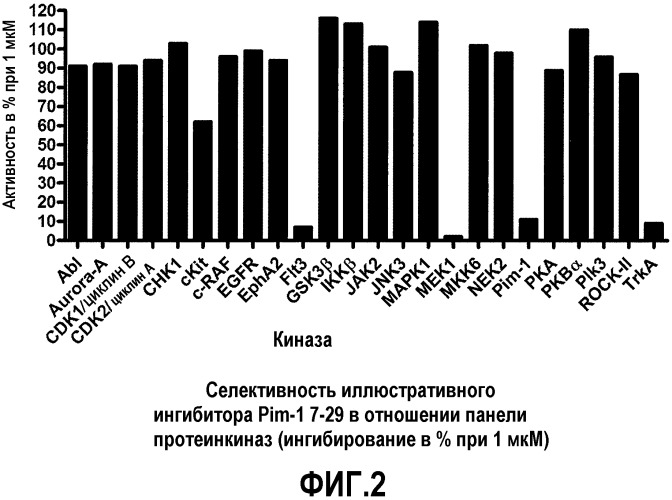 Производные имидазо [1,2-b]пиридазина и пиразоло[1,5-a]пиримидина и их применение в качестве ингибитора протеинкиназ (патент 2487875)