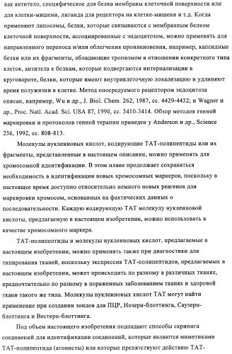 Композиции и способы диагностики и лечения опухоли (патент 2430112)
