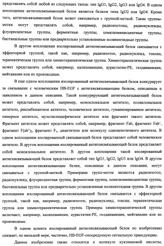 Белки, связывающие антиген фактор роста, подобный гепаринсвязывающему эпидермальному фактору роста (патент 2504551)