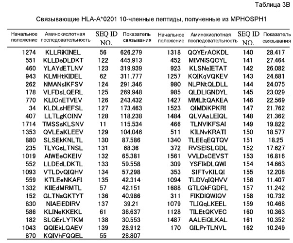 Пептидные вакцины против рака с экспрессией полипептидов mphosph1 или depdc1 (патент 2469044)