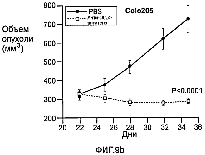 Антитела против dll4 и способы их применения (патент 2415869)