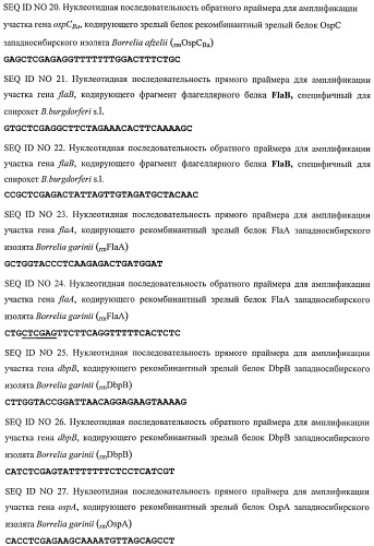 Рекомбинантные химерные полипептиды, несущие эпитопы различных иммунодоминантных белков спирохет комплекса borrelia burgdorferi sensu lato, и способ серодиагностики иксодового клещевого боррелиоза (патент 2514230)