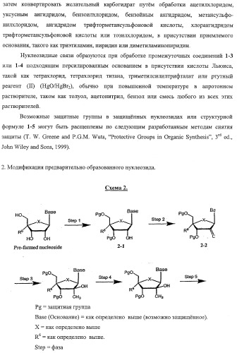 Модифицированные фторированные аналоги нуклеозида (патент 2358979)