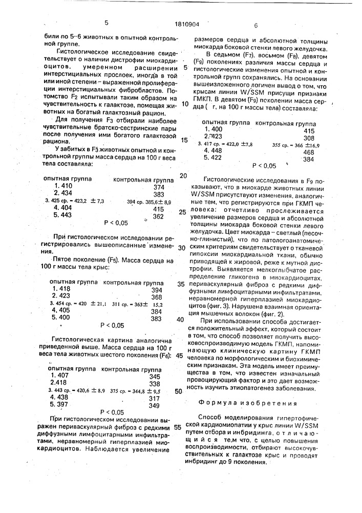 Способ моделирования гипертрофической кардиомиопатии у крыс линии w/ss м (патент 1810904)