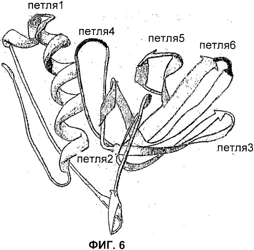 Домены и эпитопы менингококкового белка nmb1870 (патент 2375374)