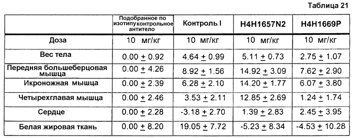 Антитела против gdf8 человека (патент 2567805)