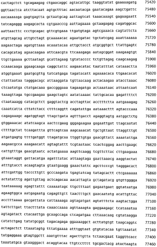 Бактериофаг, обладающий активностью против pseudomonas aeruginosa, белки бактериофага и способы их применения (патент 2580248)