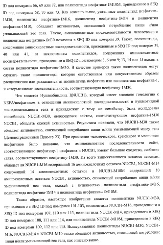 Способ получения фактора, связанного с контролем над потреблением пищи и/или массой тела, полипептид, обладающий активностью подавления потребления пищи и/или прибавления в весе, молекула нуклеиновой кислоты, кодирующая полипептид, способы и применение полипептида (патент 2418002)