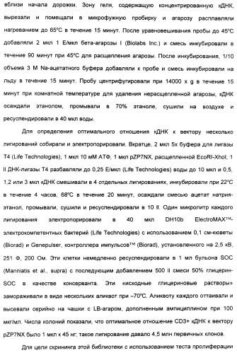 Выделенный полипептид, связывающий рецептор zalpha11-лиганда (варианты), кодирующий его полинуклеотид (варианты), вектор экспрессии (варианты) и клетка-хозяин (варианты) (патент 2346951)