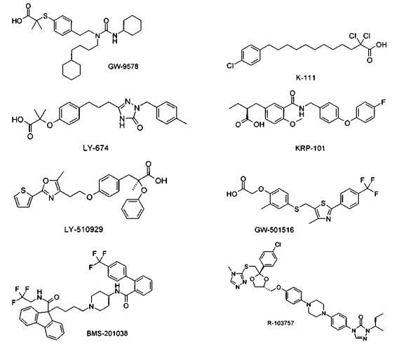 Фениламинобензоксазолзамещенные карбоновые кислоты, способ их получения и их применение в качестве лекарственных средств (патент 2434003)