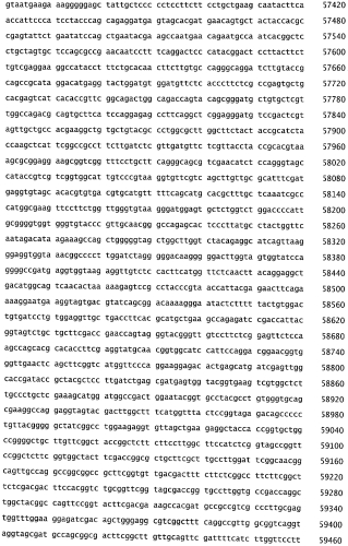 Бактериофаг, обладающий активностью против pseudomonas aeruginosa, белки бактериофага и способы их применения (патент 2580248)