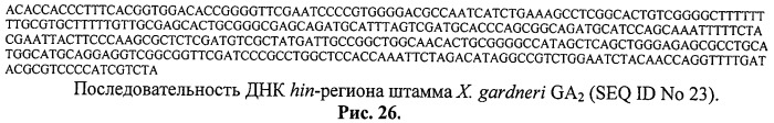 Способ идентификации и дифференциации прокариотических организмов (патент 2486251)