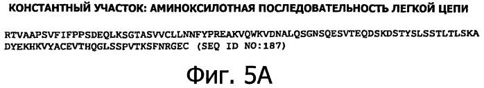 Белки, связывающие антиген фактор роста, подобный гепаринсвязывающему эпидермальному фактору роста (патент 2504551)