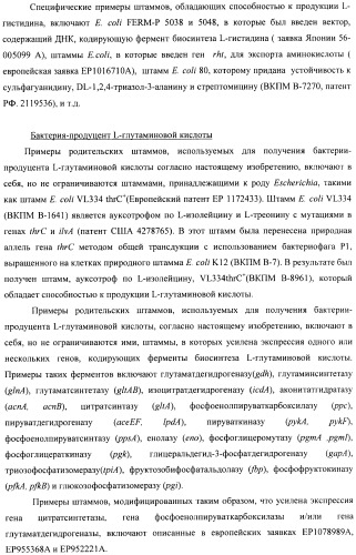 Способ конструирования оперонов, содержащих трансляционно сопряженные гены (патент 2411292)