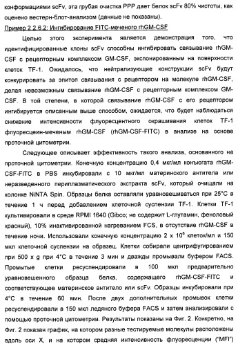 Антитела-нейтрализаторы гранулоцитарно-макрофагального колониестимулирующего фактора человека (патент 2458071)