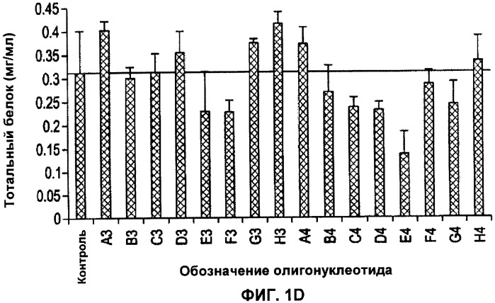 Лечение пролиферативных заболеваний с использованием антисмыслового олигомера iap и химиотерапевтического препарата (патент 2376018)