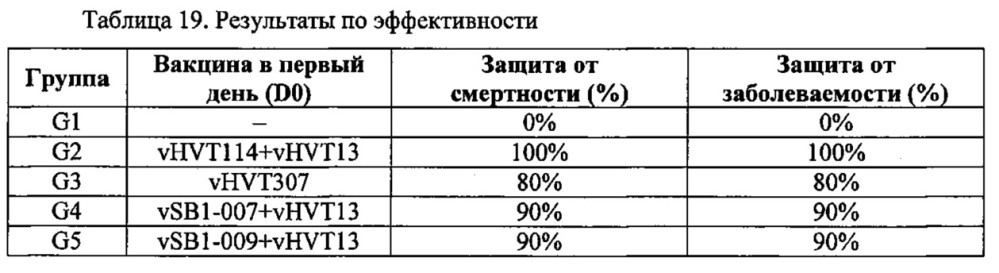 Рекомбинантные векторы hvt, экспрессирующие антигены патогенов птиц и их применение (патент 2620936)