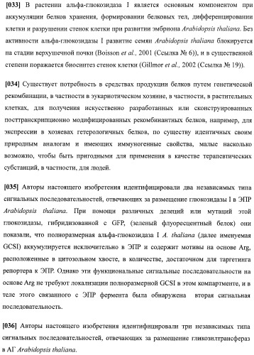 Набор последовательностей для таргетинга экспрессии и контроля посттрансляционных модификаций рекомбинантного полипептида (патент 2481399)