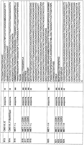 Pscaxcd3, cd19xcd3, c-metxcd3, эндосиалинxcd3, epcamxcd3, igf-1rxcd3 или fap-альфаxcd3 биспецифическое одноцепочечное антитело с межвидовой специфичностью (патент 2547600)