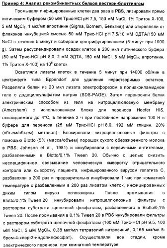 Очищенные оболочечные белки вируса гепатита с для диагностического и терапевтического применения (патент 2319505)