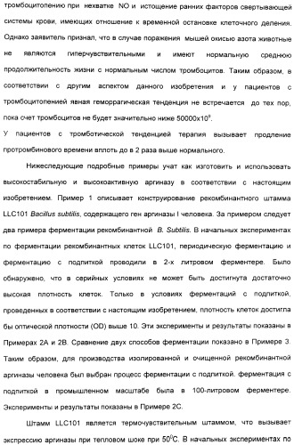 Фармацевтический препарат и способ лечения злокачественных опухолей у человека с помощью аргининовой депривации (патент 2335539)