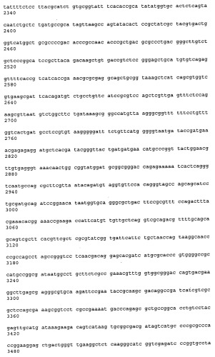 Антитела к рецептору конечных продуктов глубокого гликирования (rage) и их применения (патент 2518351)
