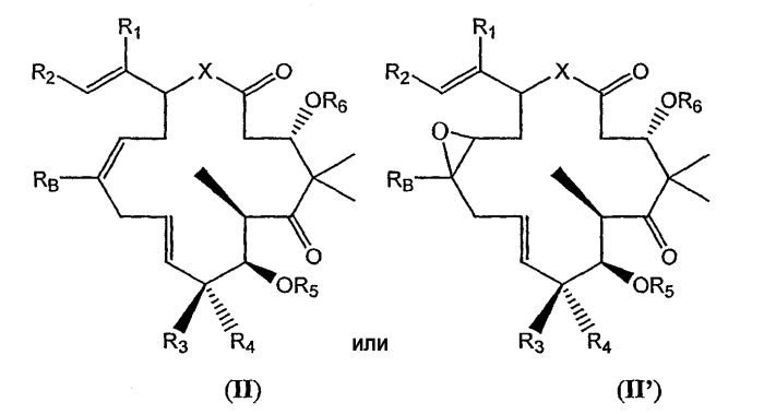Синтез эпотилонов, их промежуточных продуктов, аналогов и их применения (патент 2462463)